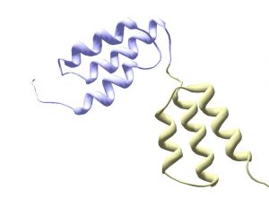 Affibody molecule